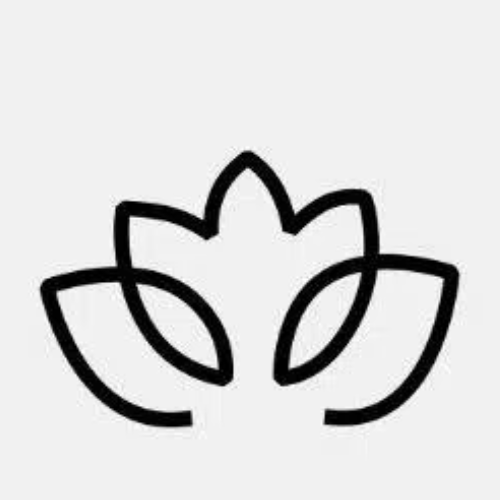 赏金国际 Logo